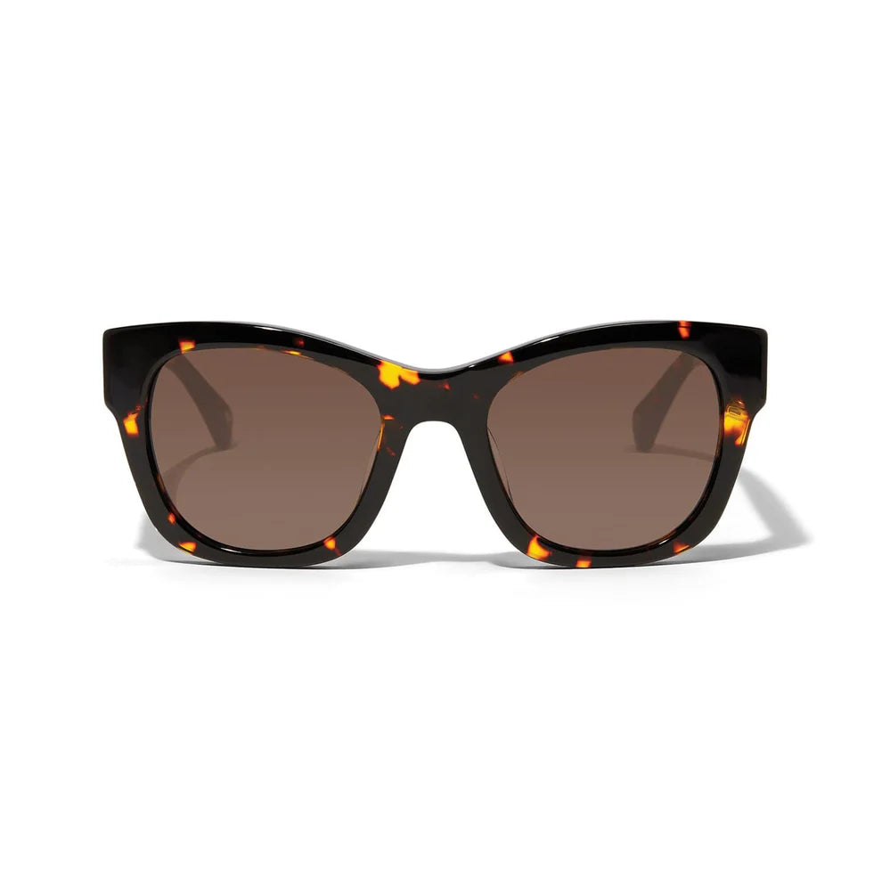 Brighton Contempo Medallion Sunglass (A13420)
