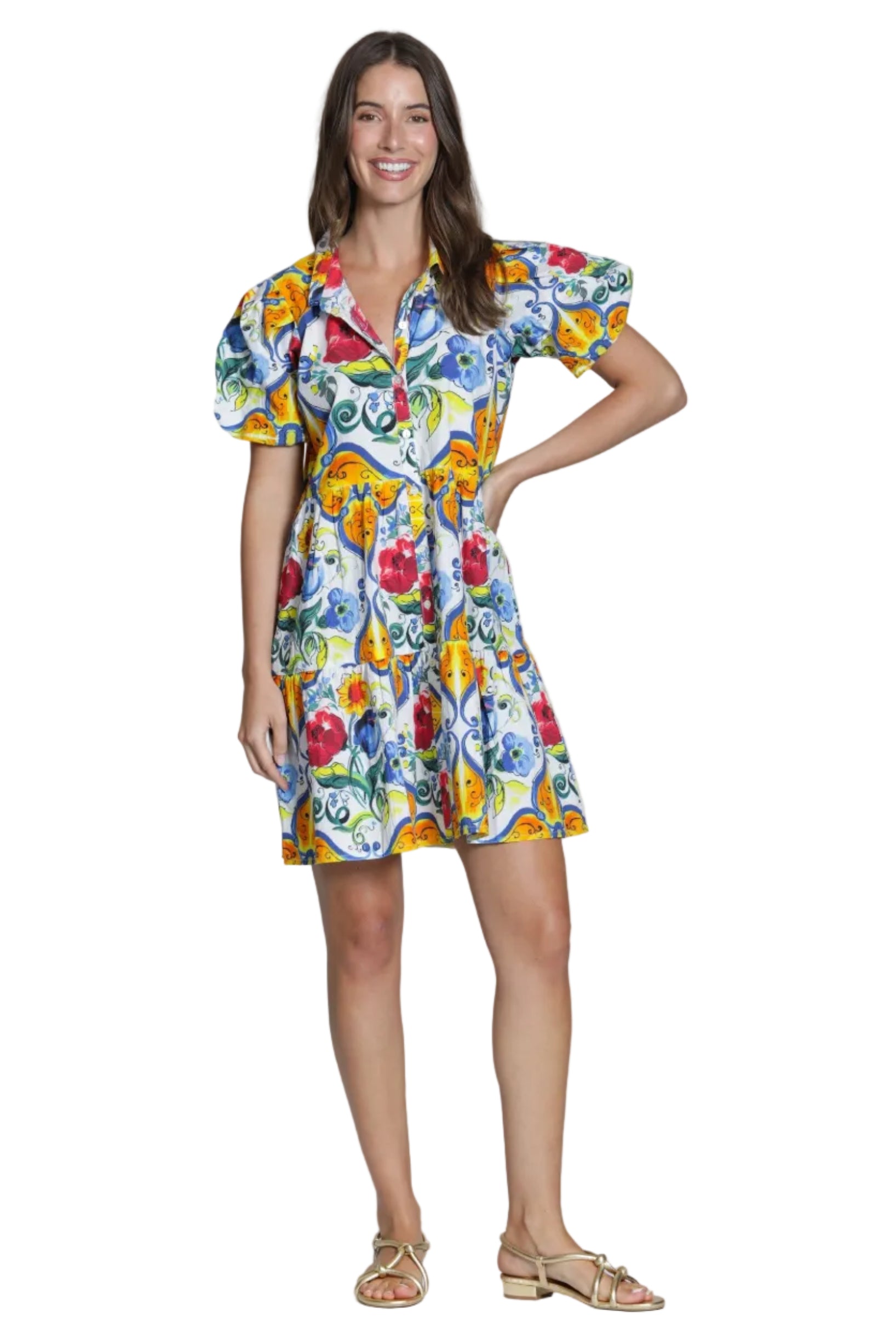 APNY Flounce Puff Sleeve Shirt Dress  (T104p/c-388d/CT) (Blue Multi )