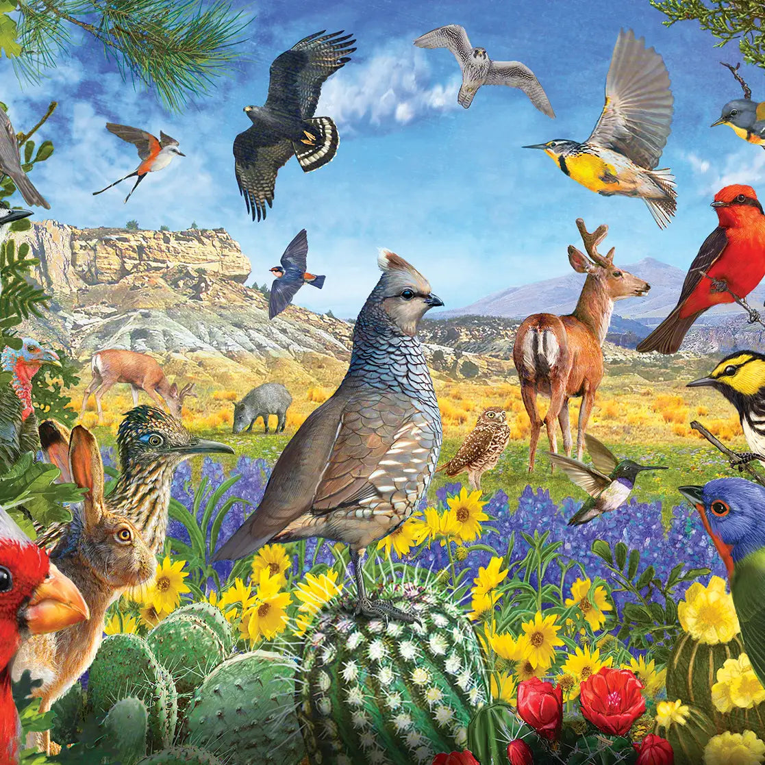 Texas Birds 1000 Piece Jigsaw Puzzle (70939)