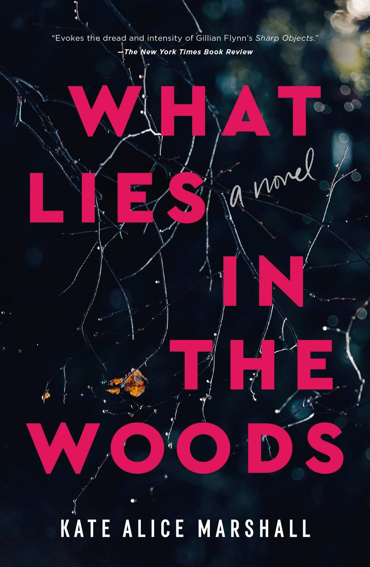 What Lies In The Woods: A Novel