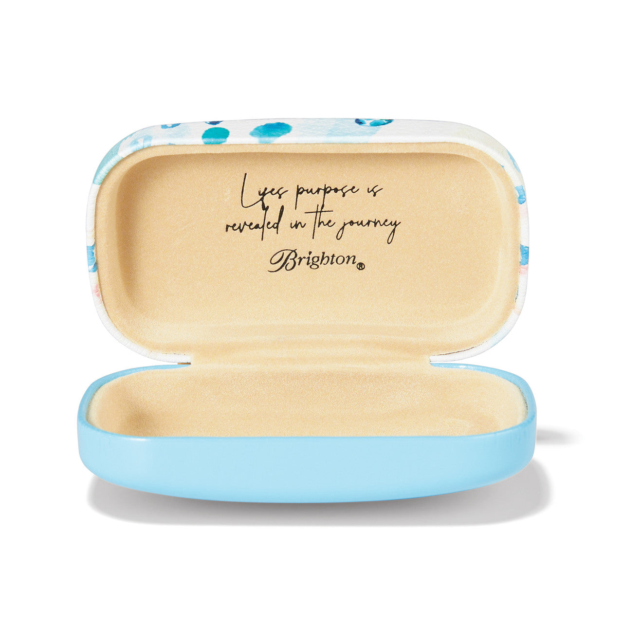 Brighton Sea Turtle Mini Box (G8319M)