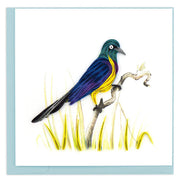 Quilling Card Golden Breasted Starling (BL1297)