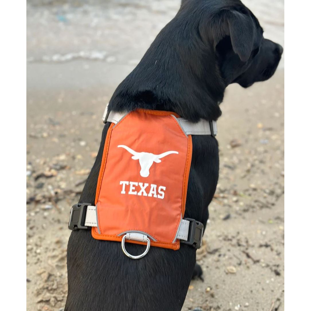 Texas Longhorn Chesapeake Harness (4 Sizes) (CH-TEX)