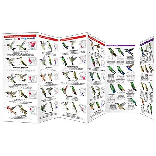 Hummingbird Folding Pocket Guide (9781583557914)