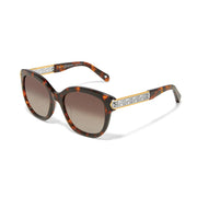 Brighton Intrigue Amber Tortoise Sunglasses (A13367)