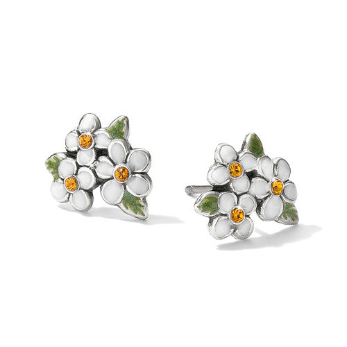 Brighton Always Mini Post Earrings (J20932)