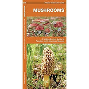 Mushrooms Pocket Guide To Familiar North American Species