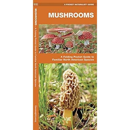 Mushrooms Pocket Guide To Familiar North American Species
