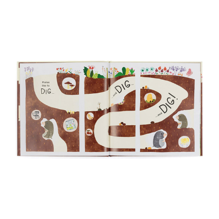 Jellycat Muswell Mole and the Buried Treasure Book