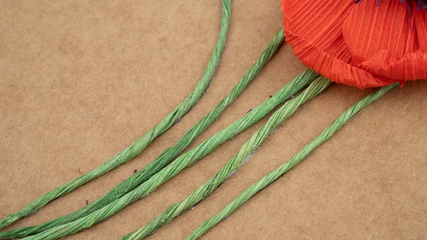 Husk And Heart Poppies (HH-GC-10004)