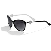 Brighton Ferrara  Sunglasses (A12623)