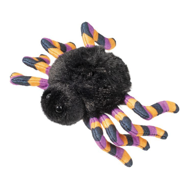 Douglas Spider with Striped Legs