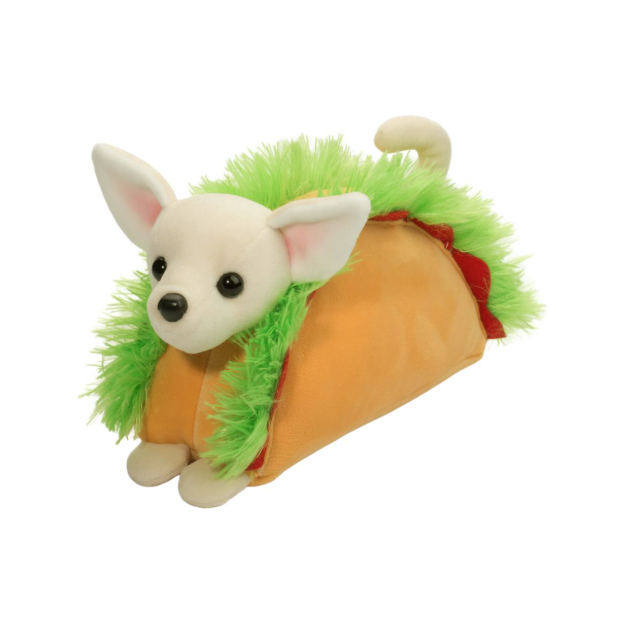 Douglas Taco Chihuahua