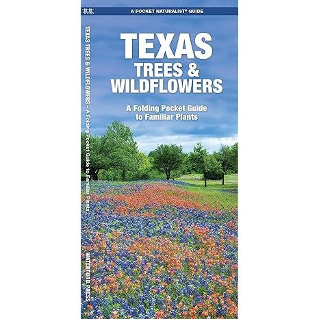 Texas Trees & Wildflowers: A Pocket Guide to Familiar Species (9781583550984)