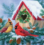 Home Tweet Home 300 Piece Puzzle