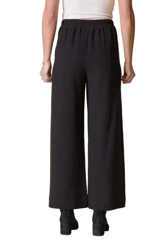 Habitat Crinkle Crepe Solid Aria  Pant (21062) (Black)