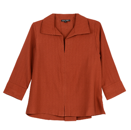 Boho Chic C-Neck Pleat Back Blouse