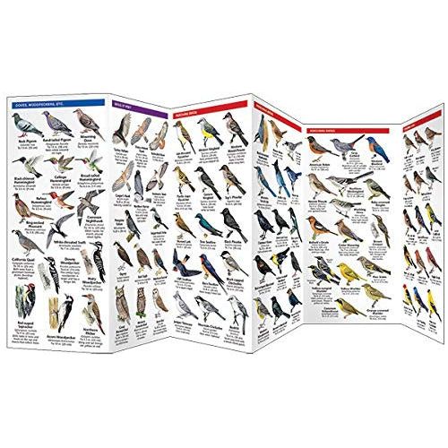 Western Backyard Birds Pocket Guide (9781583550892)