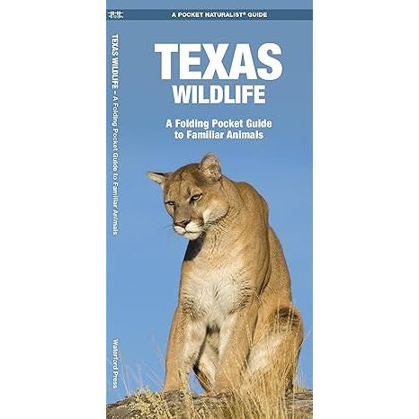 Texas Wildlife: A Folding Pocket Guide to Familiar Animals (9781583552544)