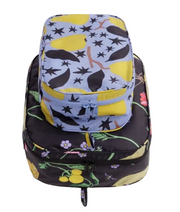 Baggu Packing Cube Set - Winter Orchard